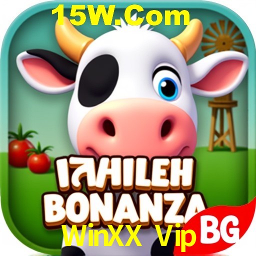 Security Systems WinXX Vip